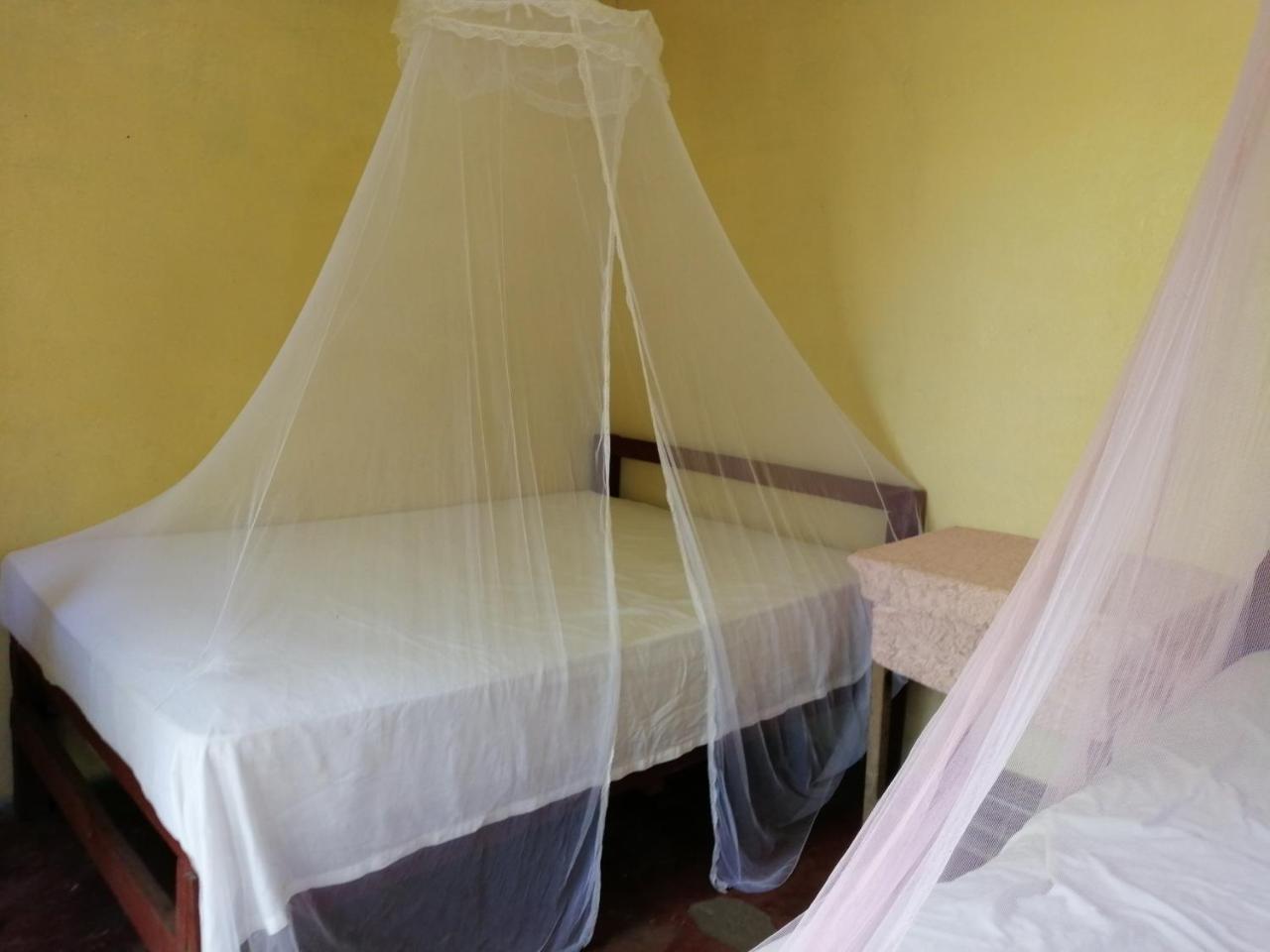 Hostal La Gloria Merida Ngoại thất bức ảnh